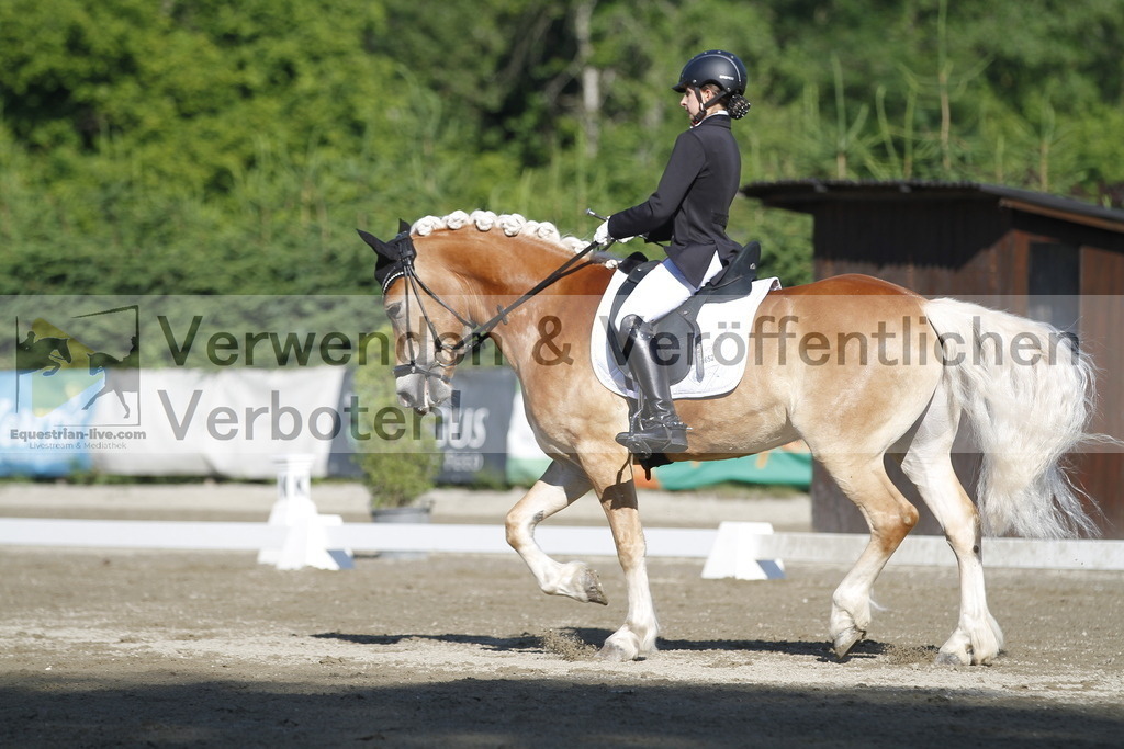 _MG_0482 | equestrian-live-com