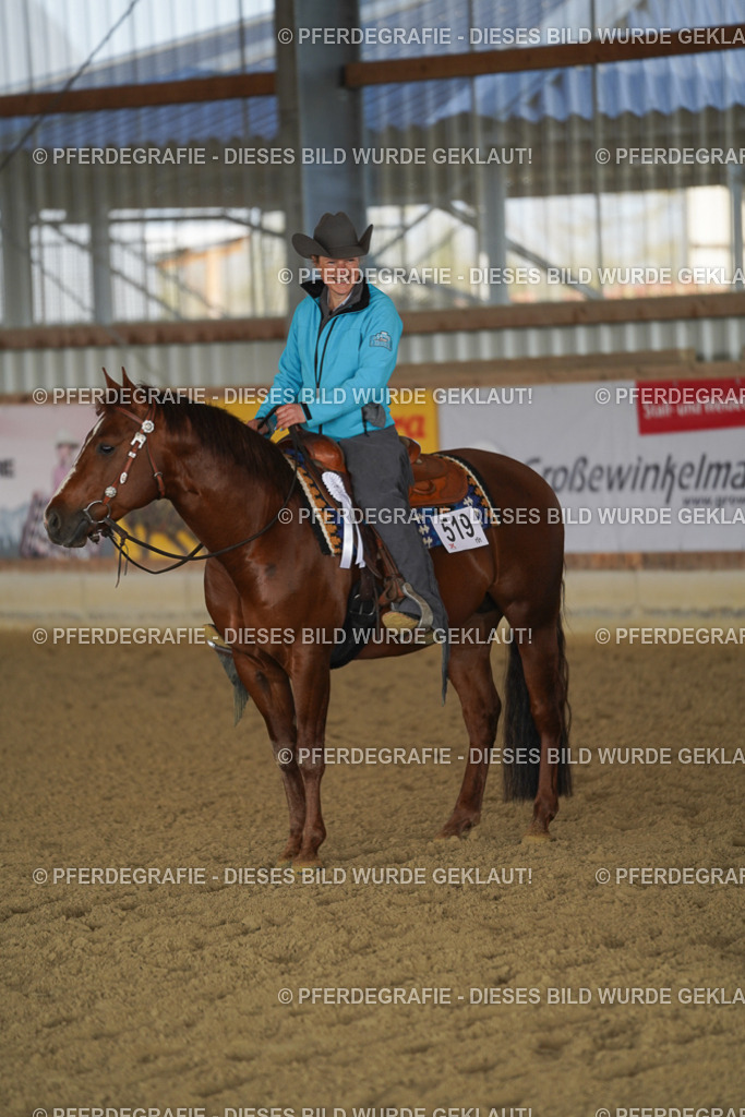 DSC08923 | Pferdegrafie