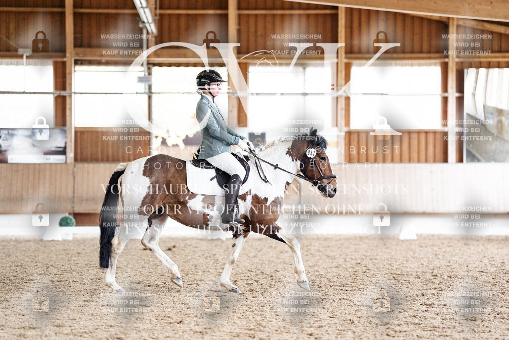 CK901047 | Turnierfotografie Pferdefotografie Trier Rheinland-Pfalz Pferdesport Reitsport Tierfotografie Sportfotografie Pferdevideo Pferdevideografie Equestrianvideography equestrianphotography  - Realisiert mit Pictrs.com