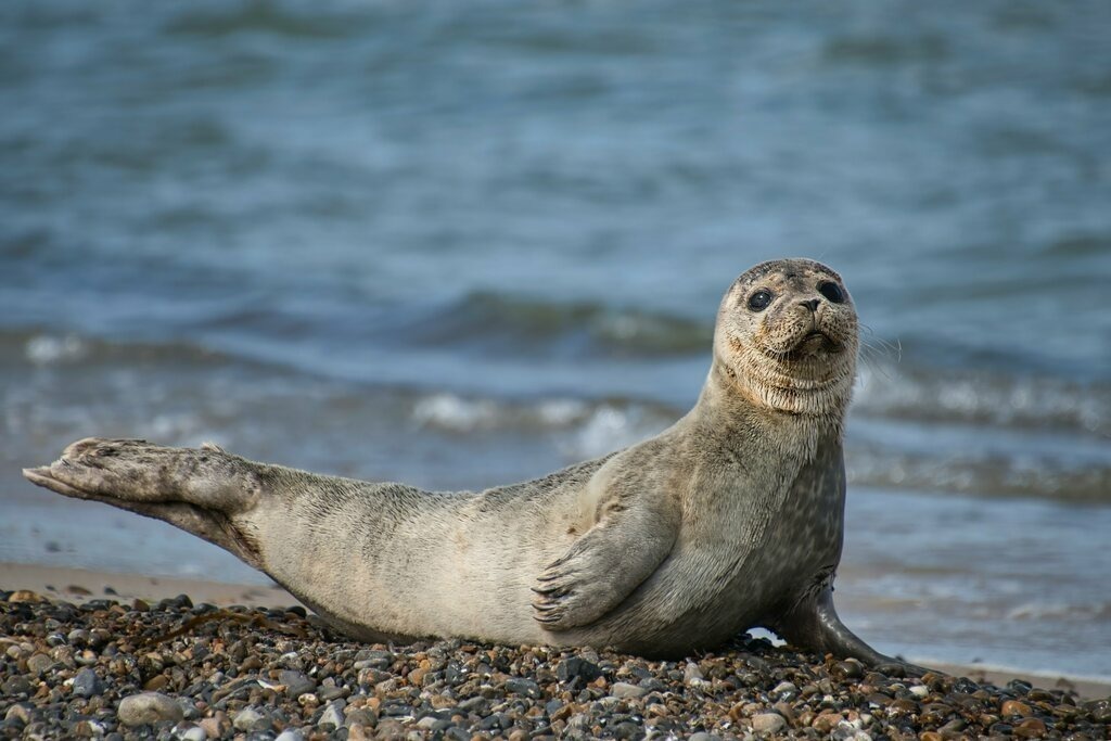 DSC_4130_upscale | Unvergessliche Erinnerungen in Bildern festgehalten! Ob Hochzeit, Shooting oder Landschaft  - Ich bin dein Fotograf in Erfurt und Umgebung! Photo-Rauch | Sandro Rauch - Realisiert mit Pictrs.com