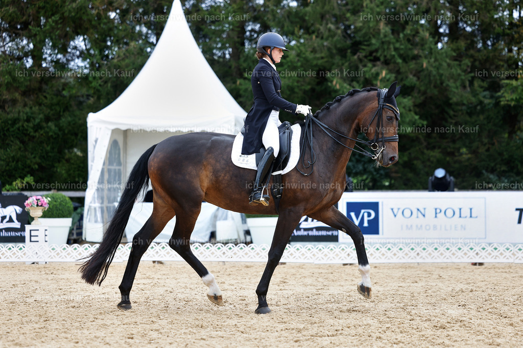 6-086-AMATUER-DRESSUR S_  -StoibPH-3578 | working equitationturnier fotograf videograf stoibphotography marixx film working equitation deutschland reitsport turnierfotografie eventfotografie equestrian events