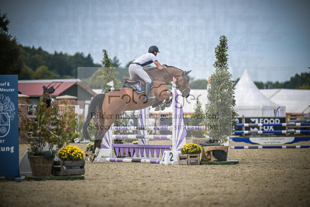 DOS_4662 | Entdecke hochwertige Reitturnierfotos von Foto Oger. Professionell, emotional und authentisch – jetzt Lieblingsmomente im Shop bestellen.Deutschlandweite Turnierfotografie. - Realisiert mit Pictrs.com