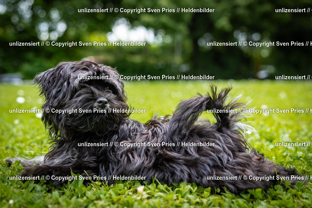 Sven Pries | 2025-05-29 - Pudelrennen KA-Durlach - Realisiert mit Pictrs.com