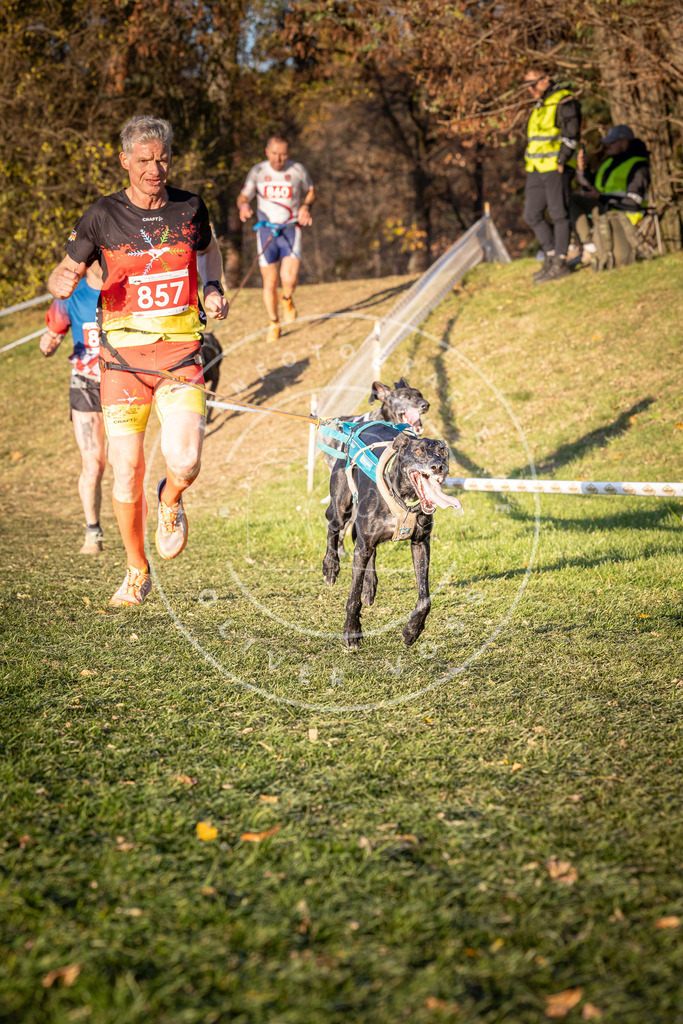 CaniXpix_0L8A0893 | Hundefotografie, Tierfotograf, Pfotenfotografie, Fotoshooting Hund, Hunde Portrait, Hundesport, Hundeportraits, Heideshooting, Hunde, Sportfotograf, Hundefotograf, Turnierhundsport, THS,  - Realisiert mit Pictrs.com