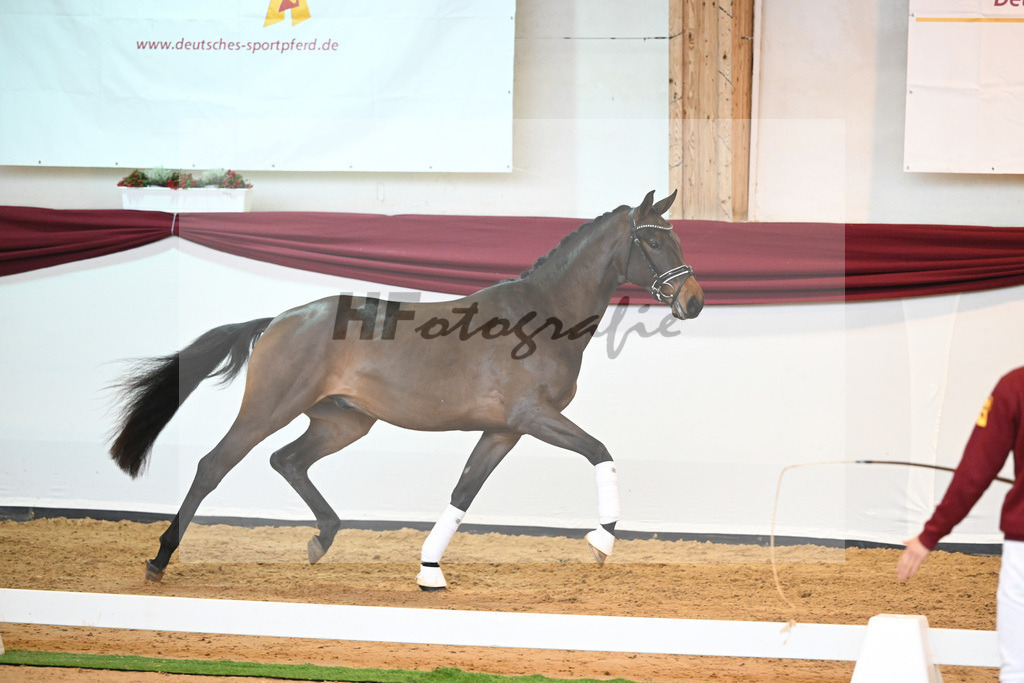 Kat-Nr. 9 v. Bonds_Schmidt_66221694 | hf-fotografie - Realisiert mit Pictrs.com