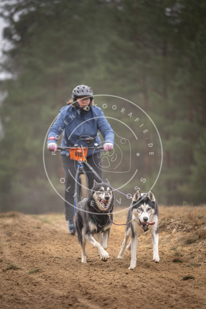 Pfotenfotografie_DV3A1216 | Hundefotografie, Tierfotograf, Pfotenfotografie, Fotoshooting Hund, Hunde Portrait, Hundesport, Hundeportraits, Heideshooting, Hunde, Sportfotograf, Hundefotograf, Turnierhundsport, THS,  - Realisiert mit Pictrs.com