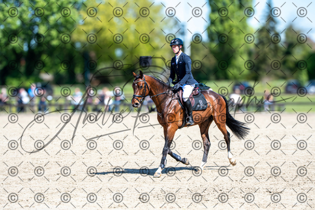 KPT_0684 | andre_photographic