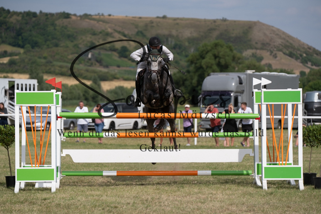 A7V02610 | Pferdefotograf