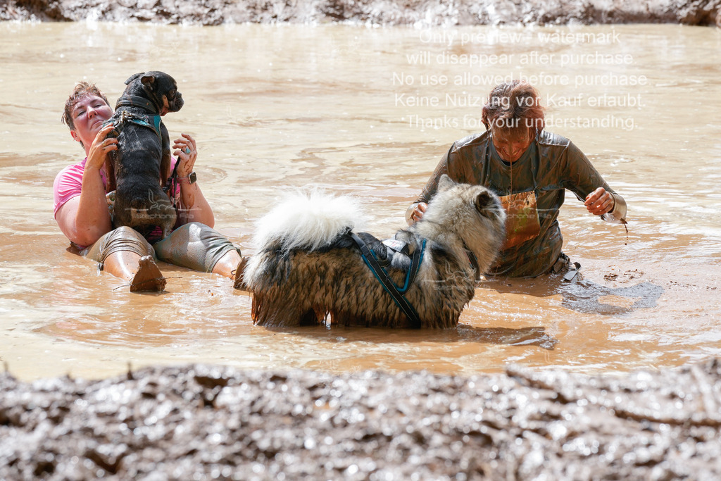 Schlamm_mit_Hund (337 von 460) | stephaniefillaphotographie - Realisiert mit Pictrs.com