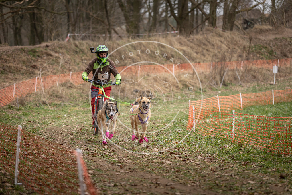 Pfotenfotografie_DV3A6602 | Hundefotografie, Tierfotograf, Pfotenfotografie, Fotoshooting Hund, Hunde Portrait, Hundesport, Hundeportraits, Heideshooting, Hunde, Sportfotograf, Hundefotograf, Turnierhundsport, THS,  - Realisiert mit Pictrs.com