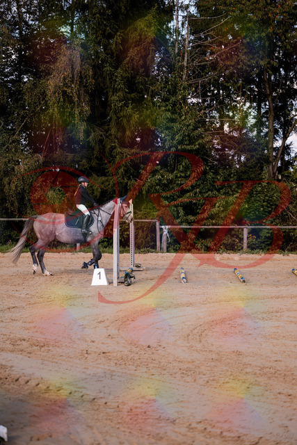 2026_10_03_Siefer-Hof_145033_Z81_28384915 | Professionelle Reitsport-, Turnier- und Eventfotografie von Robert Broda. Galerien mit ausgewählten und bearbeiteten Bildern direkt online ansehen und bestellen.