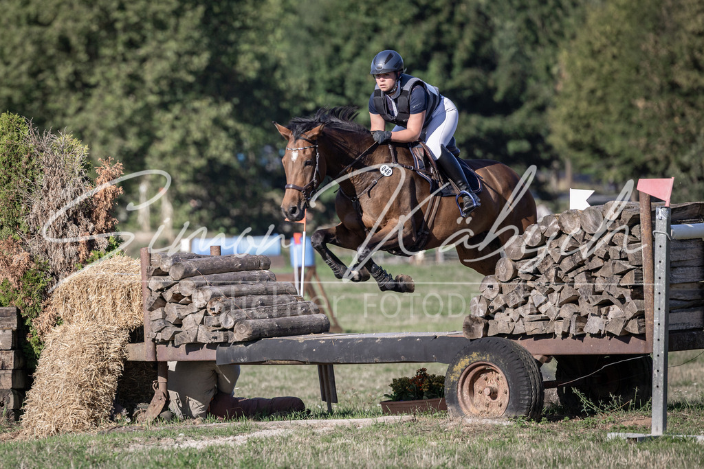 20260906-_3LI1712 | Tierfotografie Pferde, Hunde, Katzen, Haustiere.
Turnierfotografie Reitturniere, Reiten, Springreiten, Dressur in Hanau, dem Main-Kinzig-Kreis und dem Rhein-Main- Gebiet um Frankfurt