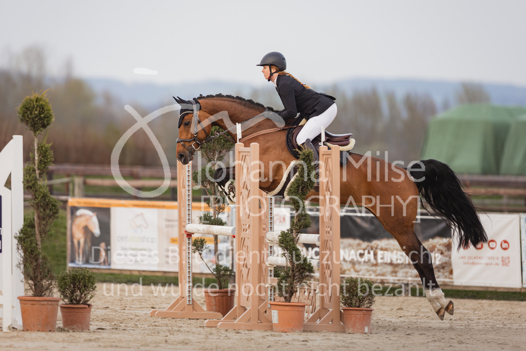 230406_Frühlingsfest_A-Stil2-222 | Deine schönsten Turniermomente als professionelle Fotos! Entdecke hochwertige Pferdesport-Fotografie im Online-Shop. Jetzt Fotos finden & bestellen!