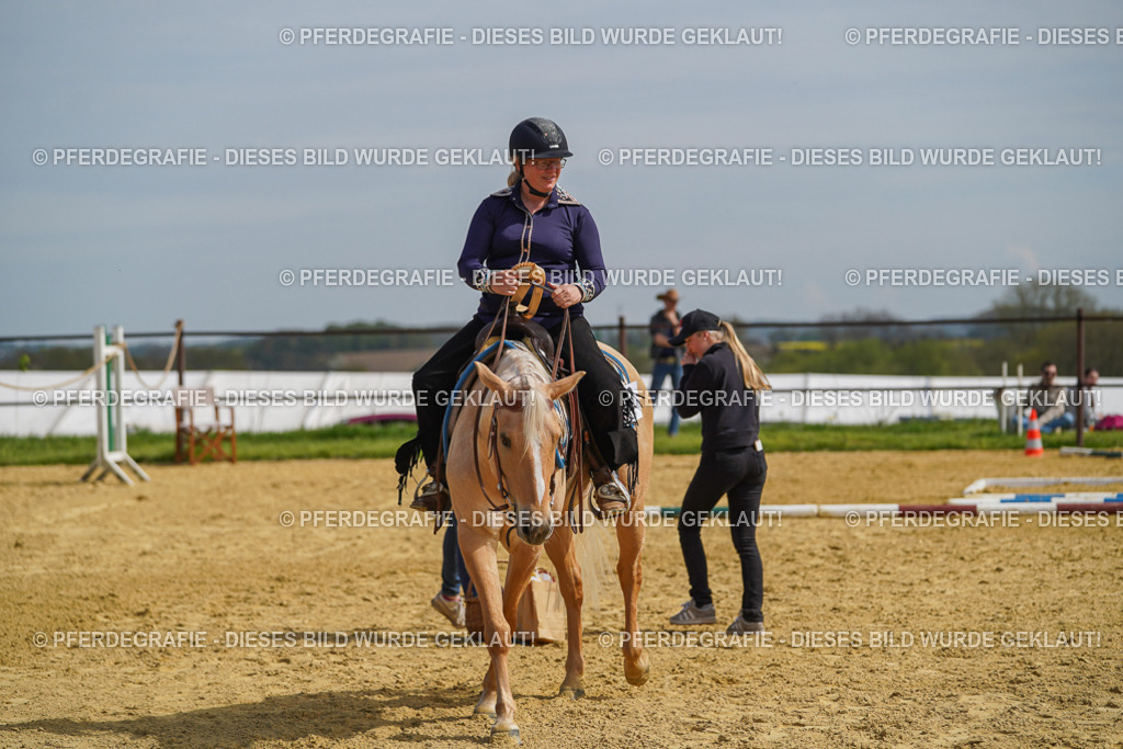 DSC04212 | Pferdegrafie