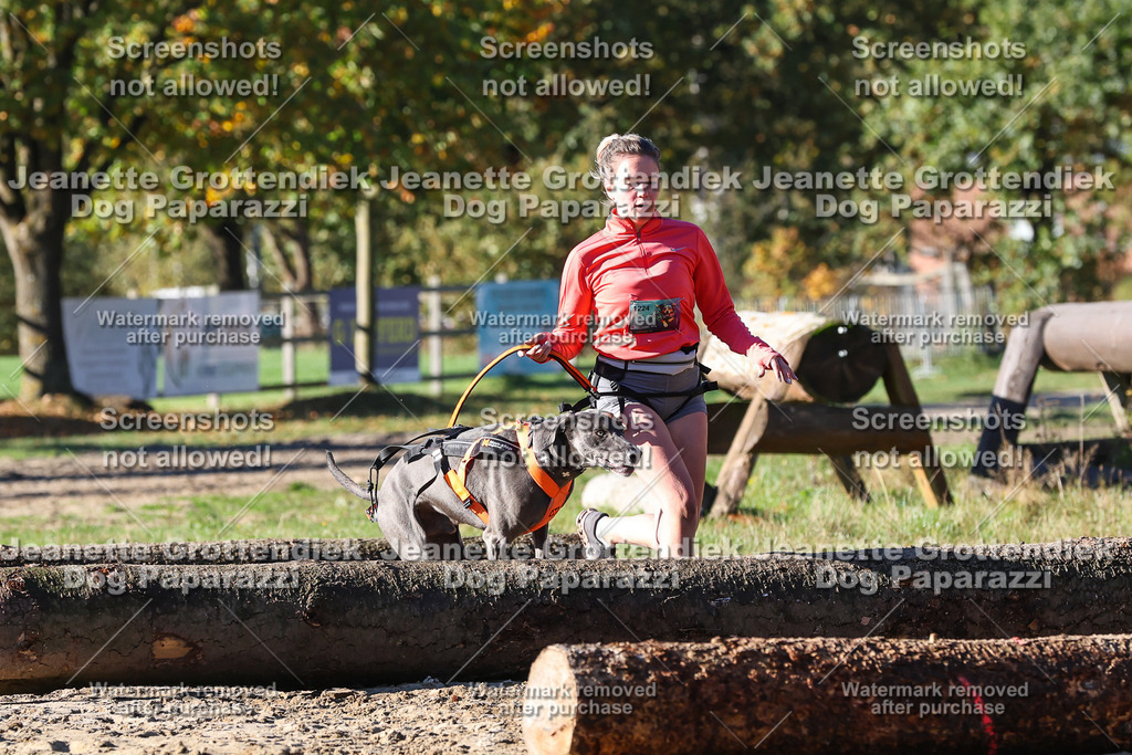 Dog Paparazzi - Strongdog 10-25-1772 | Dog Paparazzi Jeanette Grottendiek Fotografie & Videografie - Realisiert mit Pictrs.com