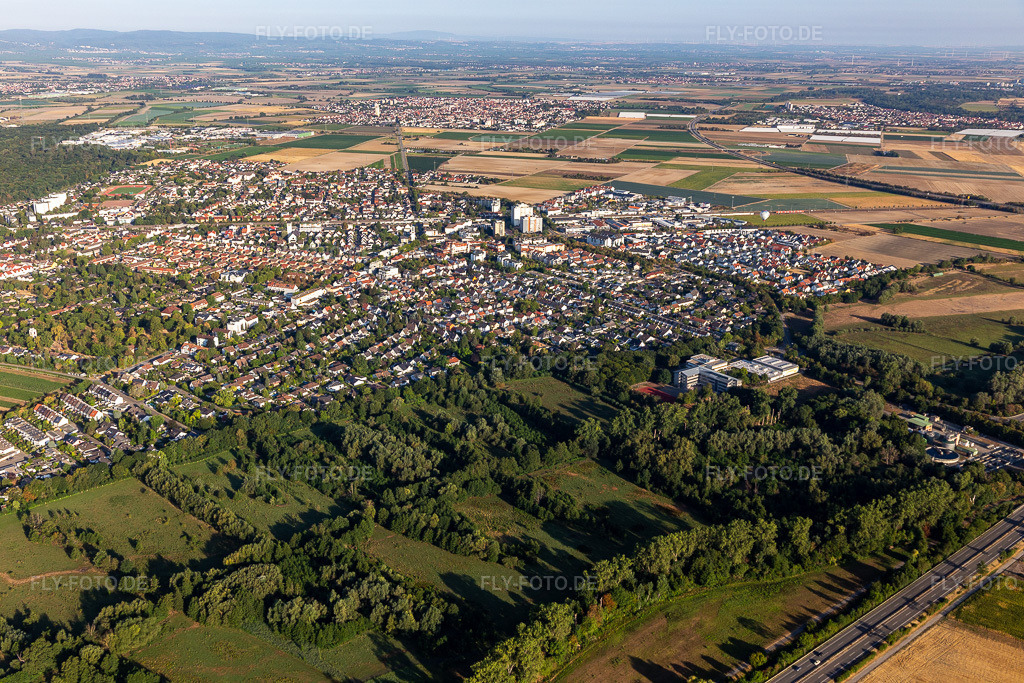 Luftbild:  in Limburgerhof im Bundesland Rheinland-Pfalz in Deutschland. – Foto: IMG_133924.jpg vom 21.08.2022 durch Werner Riehm/FLY-FOTO.de – Auflösung des Originals: 5472 x 3648 px – Limburgerhof