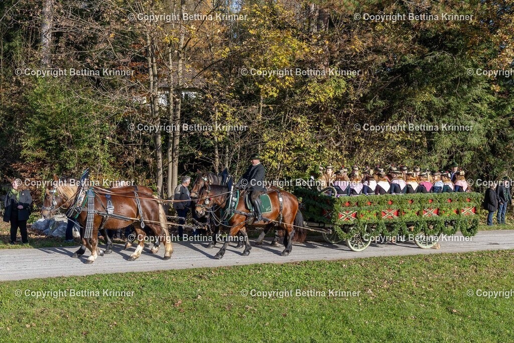 LBT24-527 | foto-bettina-krinner - Realisiert mit Pictrs.com