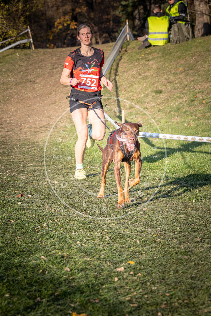 CaniXpix_0L8A9904 | Hundefotografie, Tierfotograf, Pfotenfotografie, Fotoshooting Hund, Hunde Portrait, Hundesport, Hundeportraits, Heideshooting, Hunde, Sportfotograf, Hundefotograf, Turnierhundsport, THS,  - Realisiert mit Pictrs.com