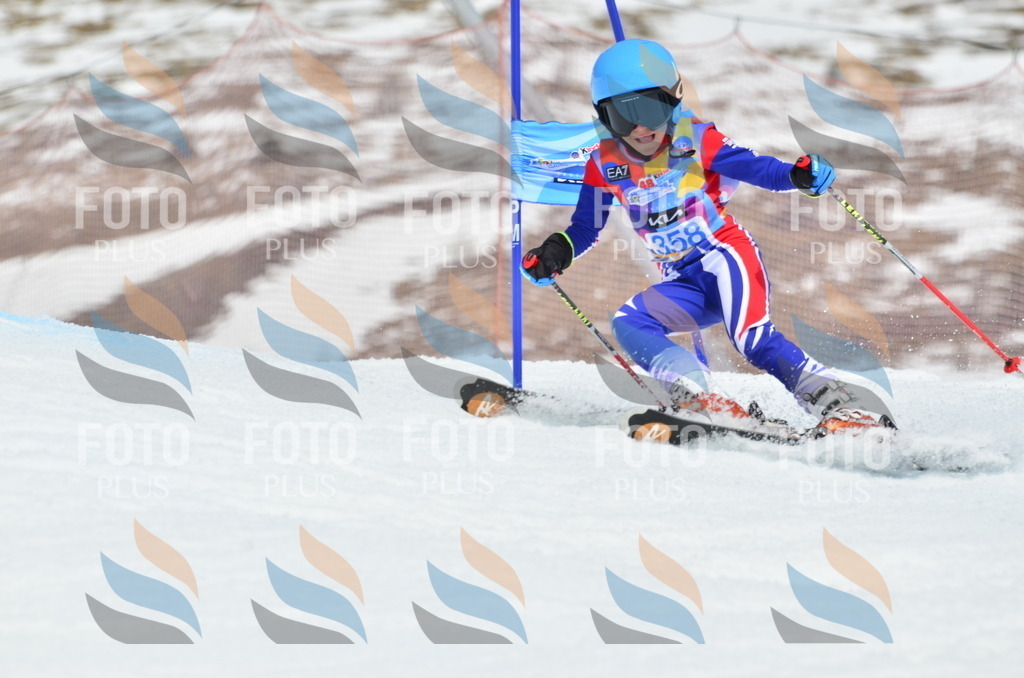 _ELE2794 | holidayphoto