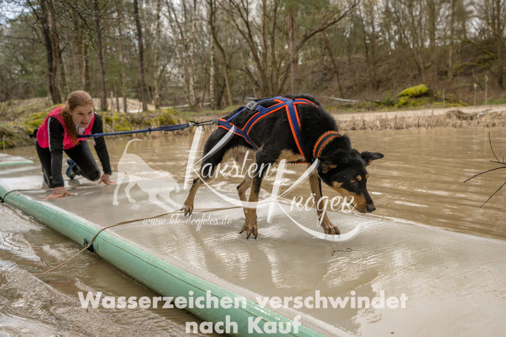 1312_ZZ94750 | kk-dogfotos