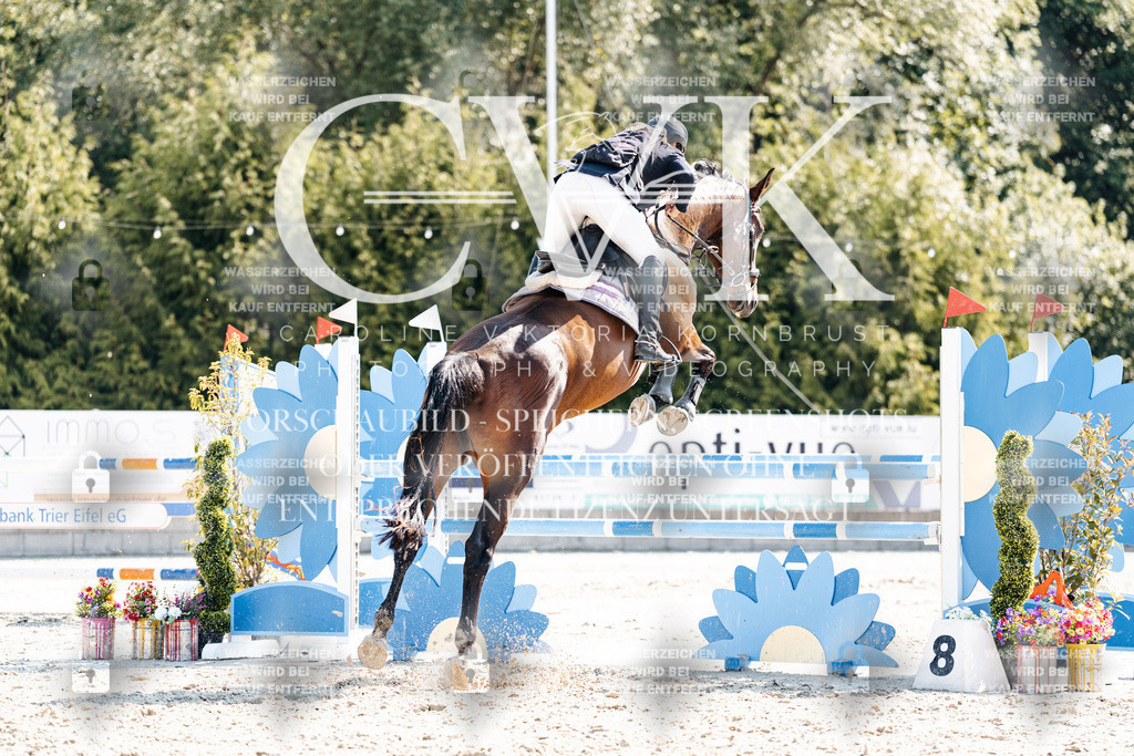 CK902672 | Turnierfotografie Pferdefotografie Trier Rheinland-Pfalz Pferdesport Reitsport Tierfotografie Sportfotografie Pferdevideo Pferdevideografie Equestrianvideography equestrianphotography  - Realisiert mit Pictrs.com