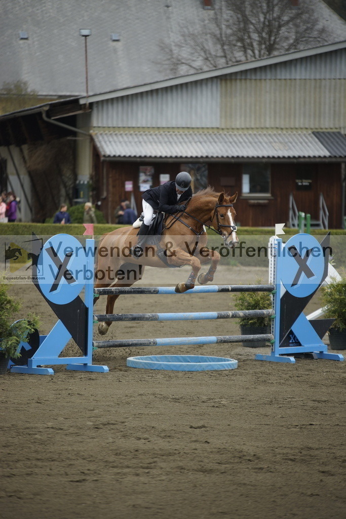 _DSC7201 | equestrian-live-com