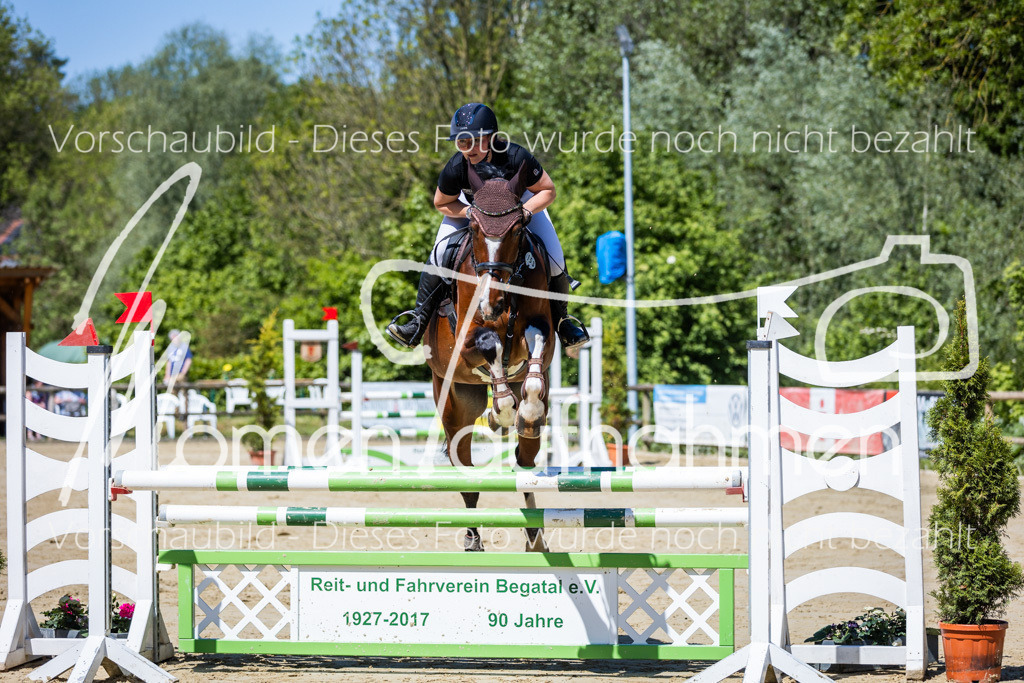 Donop24-Stil-L-021 | MomenTaufnahmen Pferdesportfotos