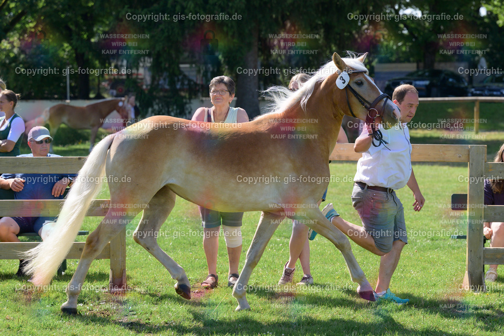 03_Niwera_v.Werano-Gold_Hartmann_250621_02 | gis-fotografie