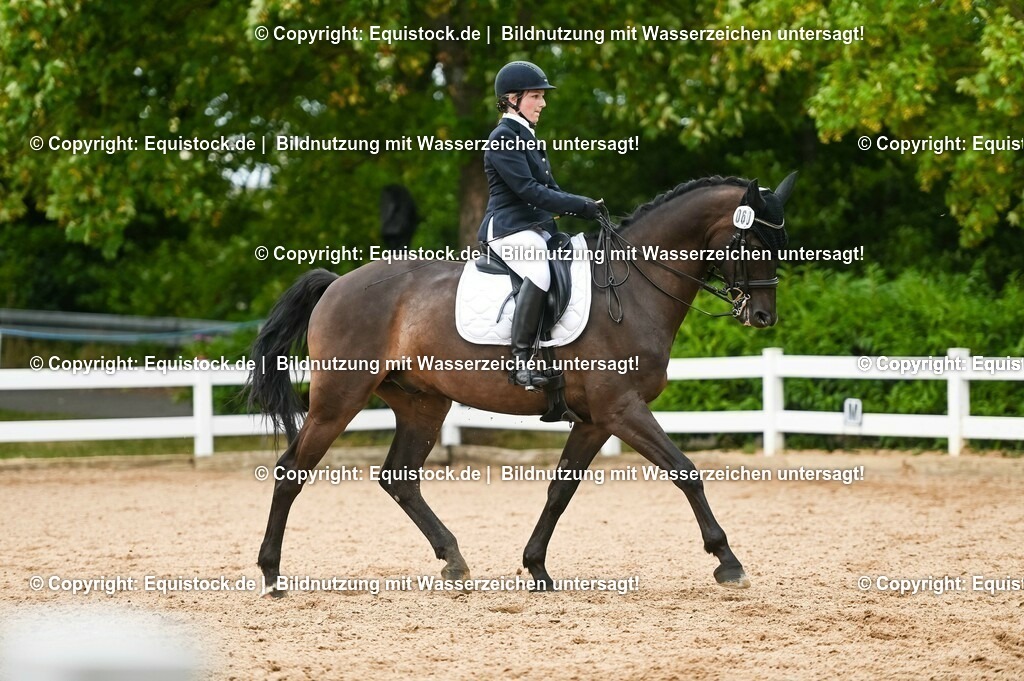 20230716_01_Dressurprüfung Kl.M_0422 | equistock
