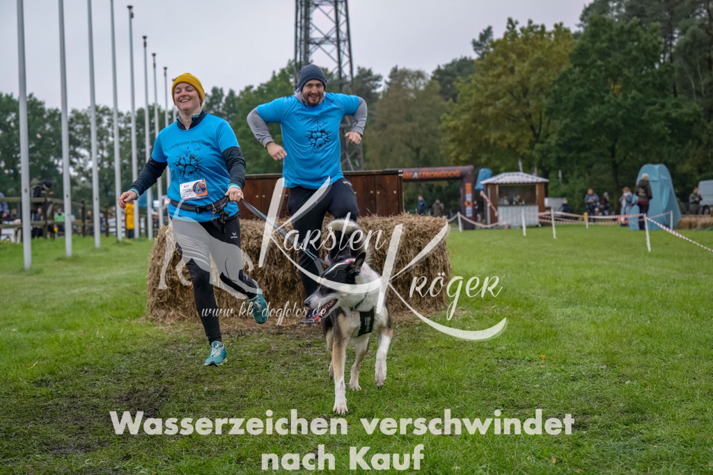 1219--12 | kk-dogfotos