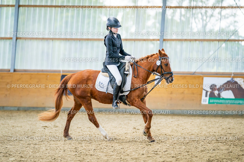 DSC04909 | Pferdegrafie