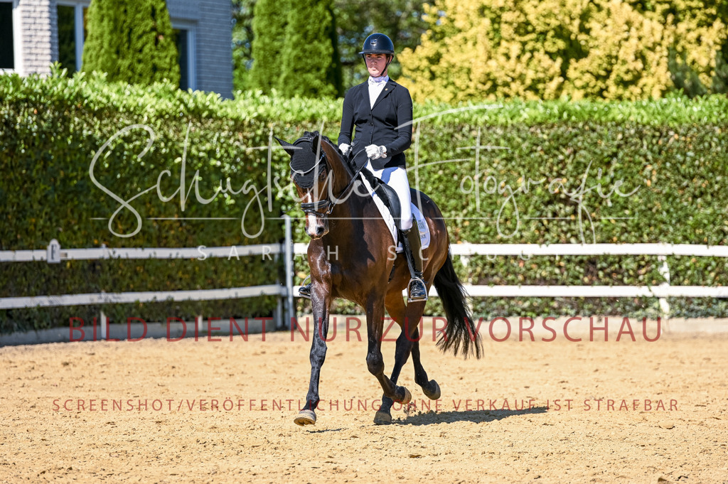 Schugtsche-Aluta25-50.Dressurpferdeprf.L-75 | Schugtsche Fotografie - Realisiert mit Pictrs.com