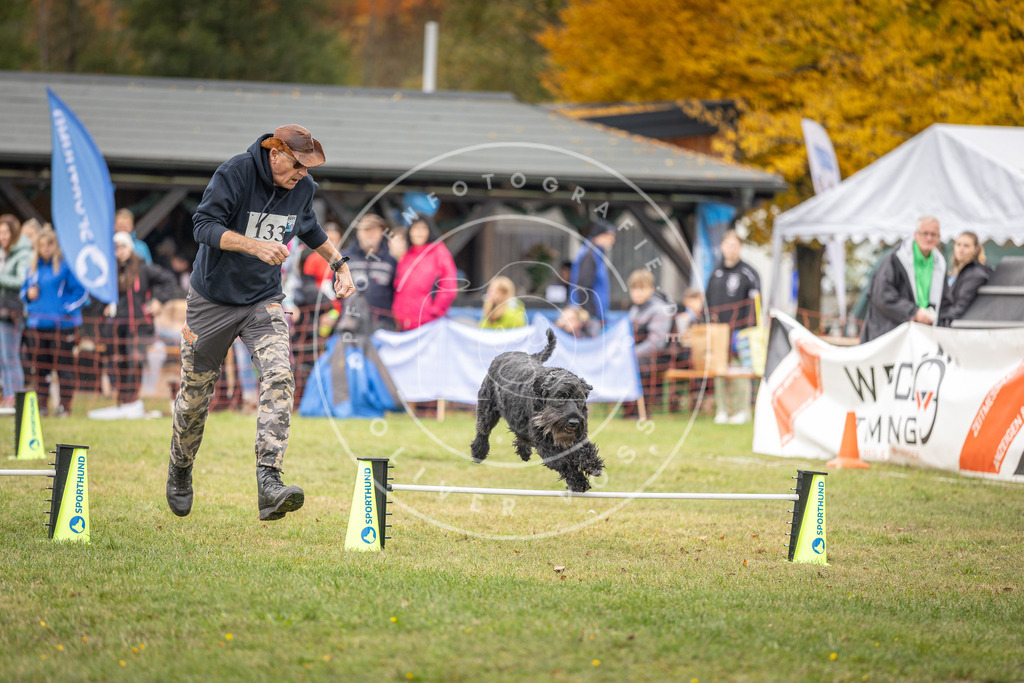 Pfotenfotografie_DV3A5062 | Hundefotografie, Tierfotograf, Pfotenfotografie, Fotoshooting Hund, Hunde Portrait, Hundesport, Hundeportraits, Heideshooting, Hunde, Sportfotograf, Hundefotograf, Turnierhundsport, THS,  - Realisiert mit Pictrs.com