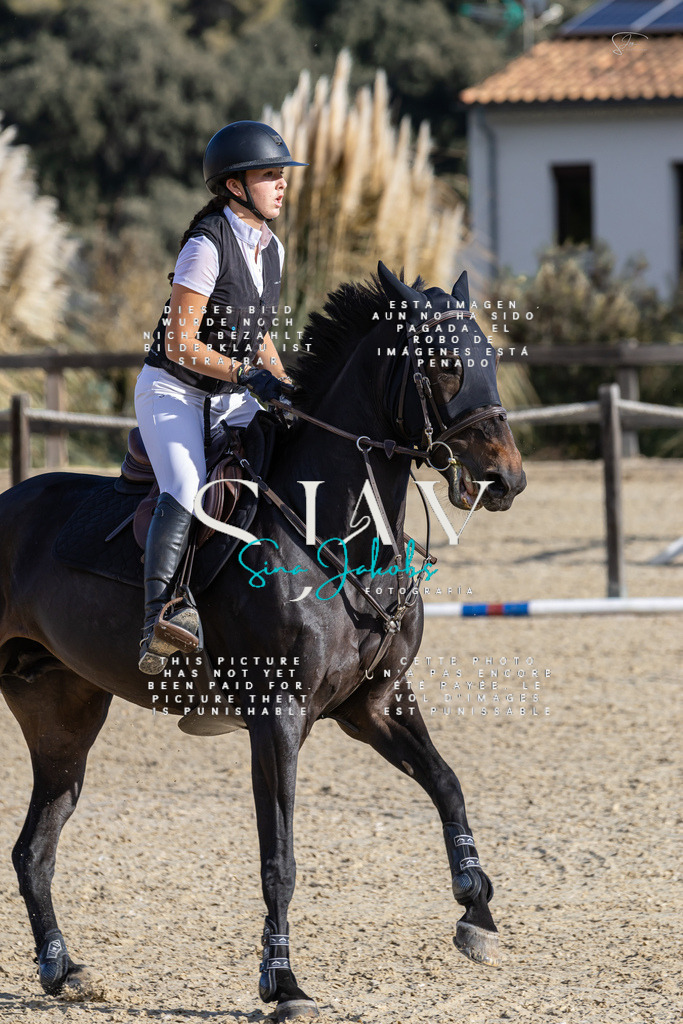 IMG_0131 | s-jay-photography - Realisiert mit Pictrs.com