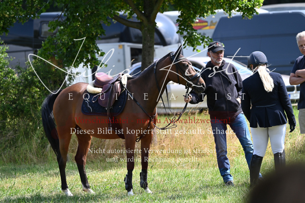 DSC_8646 | Pferde- und Turnierfotografie in Westsachsen. Pferdeportraits, Auftragszeichnungen und intuitive Kunst.
