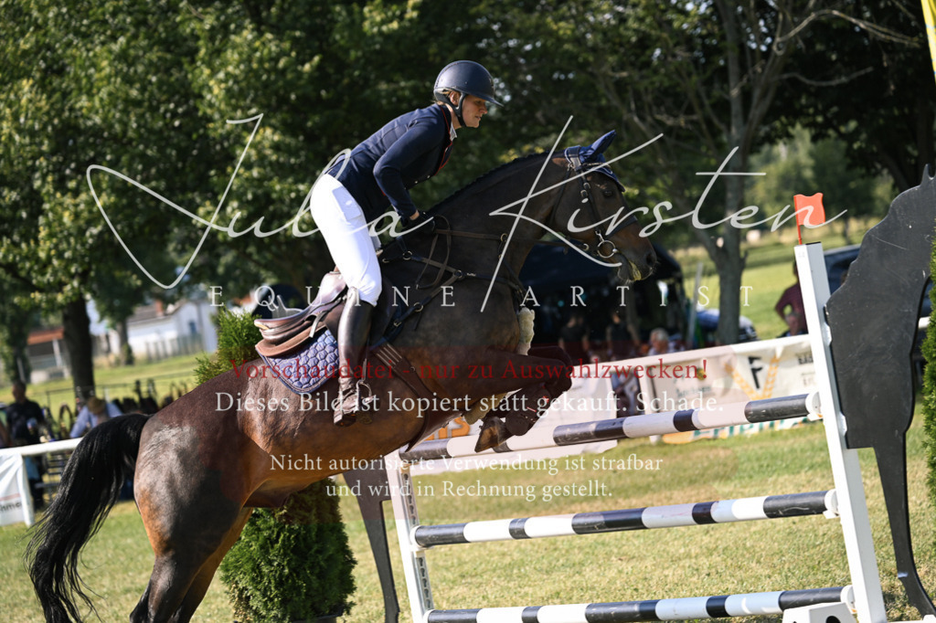 DSC_1427 | Pferde- und Turnierfotografie in Westsachsen. Pferdeportraits, Auftragszeichnungen und intuitive Kunst.