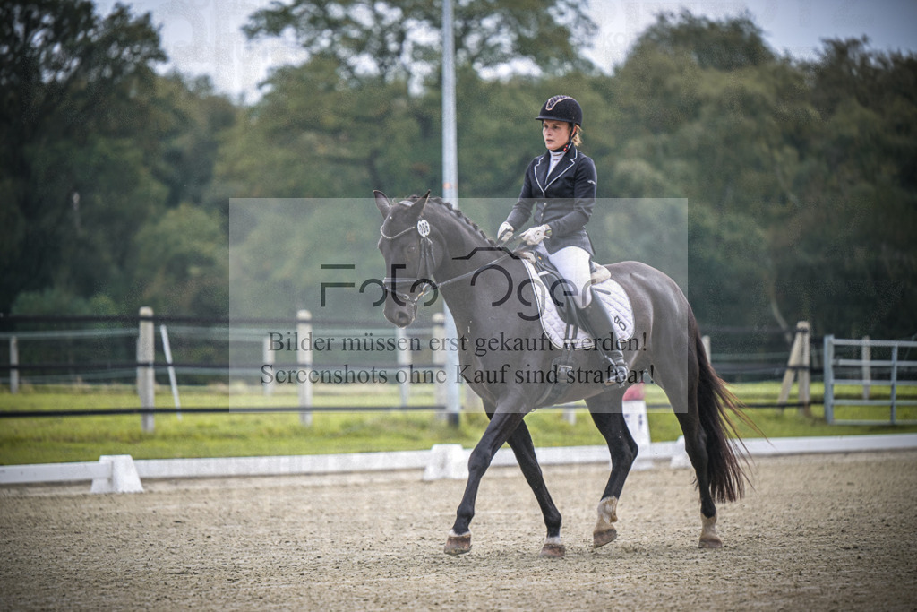 DOS_B365 | Entdecke hochwertige Reitturnierfotos von Foto Oger. Professionell, emotional und authentisch – jetzt Lieblingsmomente im Shop bestellen.Deutschlandweite Turnierfotografie. - Realisiert mit Pictrs.com