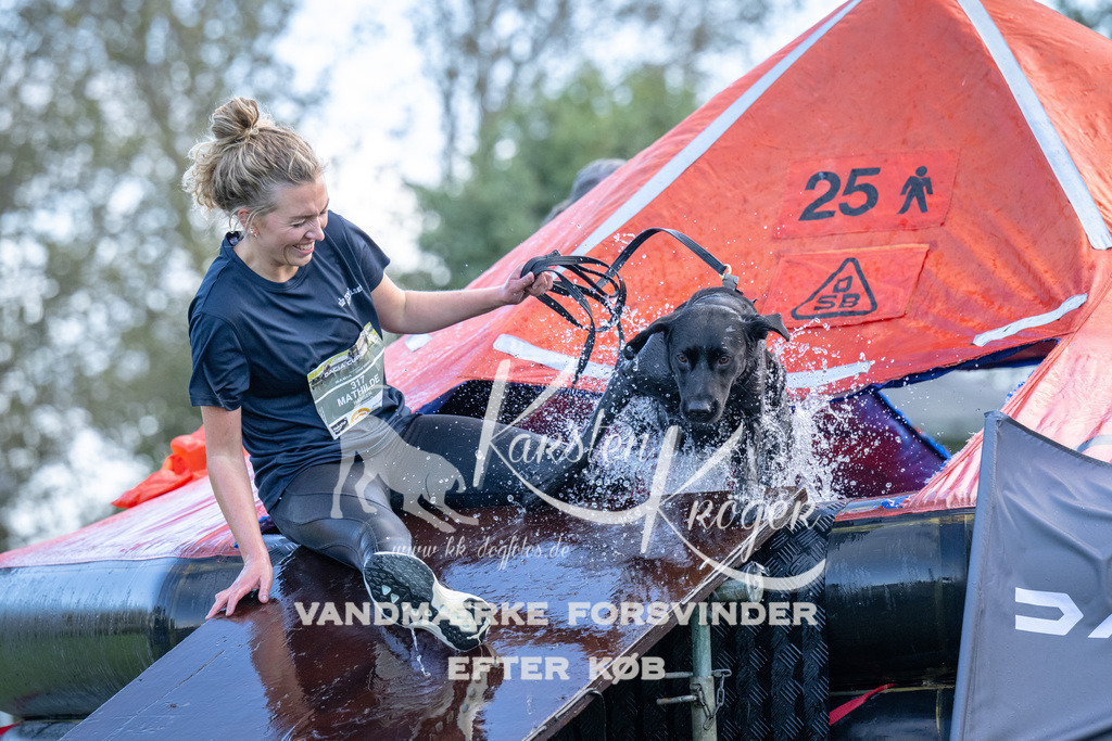 1258-90347 | kk-dogfotos