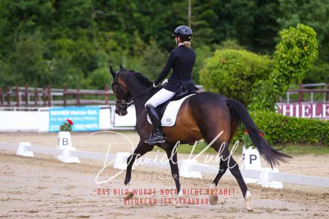 DKP45921 | Turniersportfotografie; Pferdefotografie; Dressurfotografie