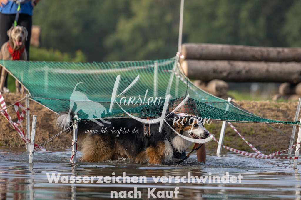 1003_ZZ91662 | kk-dogfotos