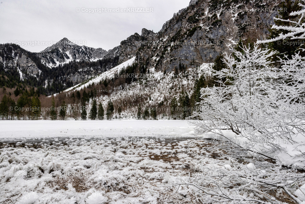 _J3A6722 | medienkrizzler - Realisiert mit Pictrs.com