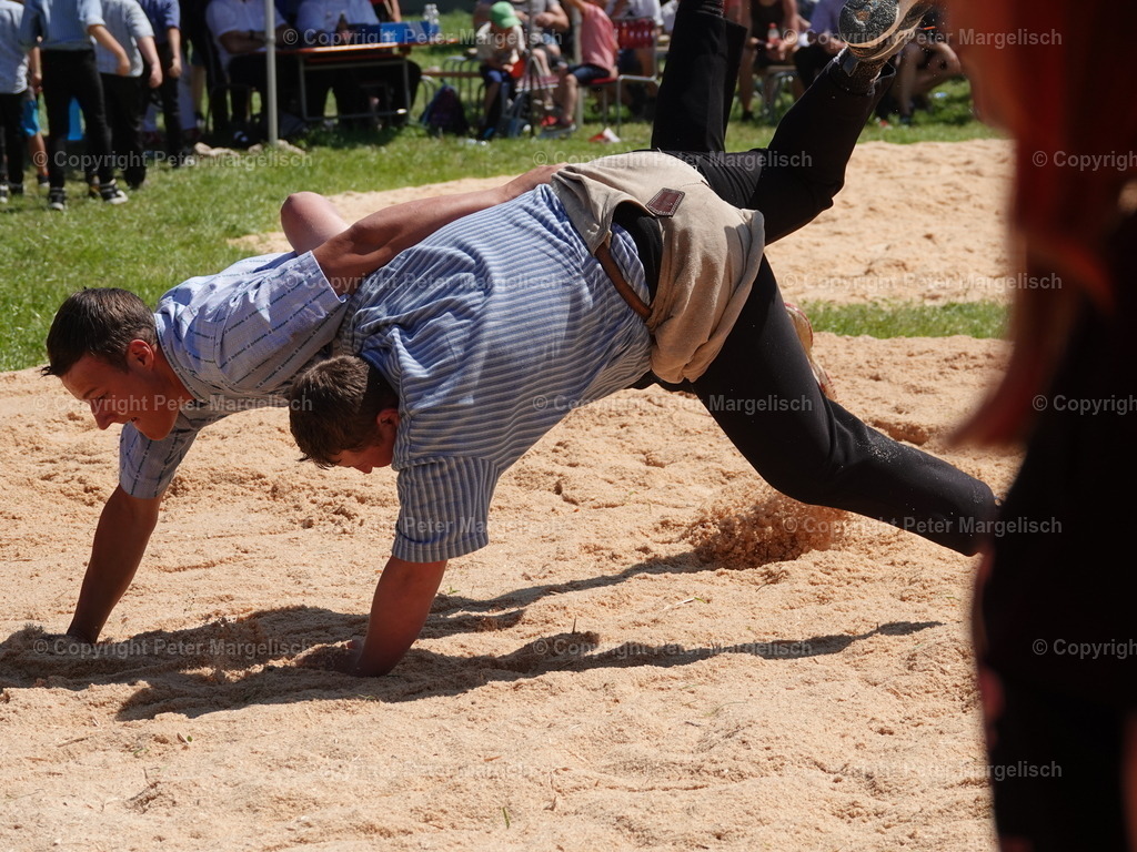 DSC04751 | Schwingen - Realisiert mit Pictrs.com