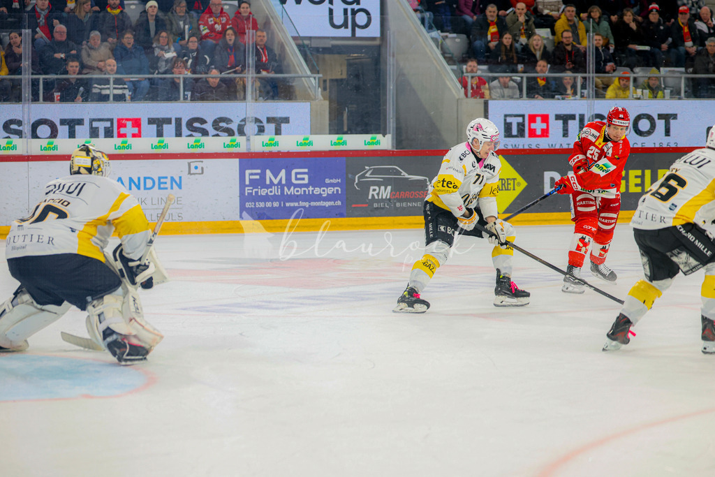 EHCB vs HCA 20260127_wb-9538 | Sportbilder, Sportfotograf, Hochzeits- und Eventfotografin, Flugshows, Portraits und Tiershooting, Aviation, Downhill, Nationalleague, Swissleague, International