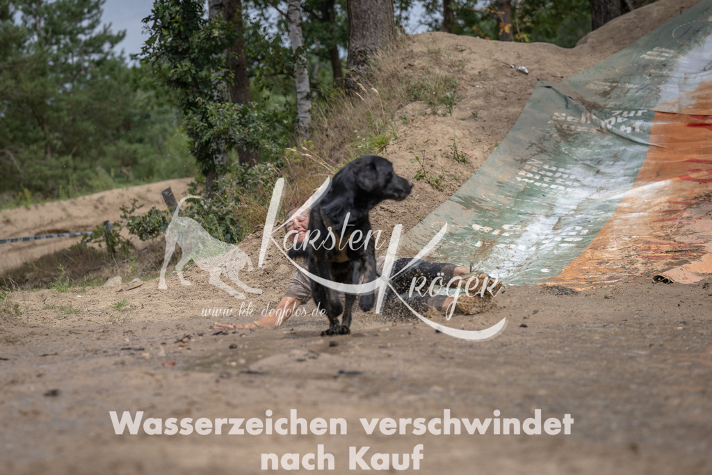 1317_ZZ96364 | kk-dogfotos