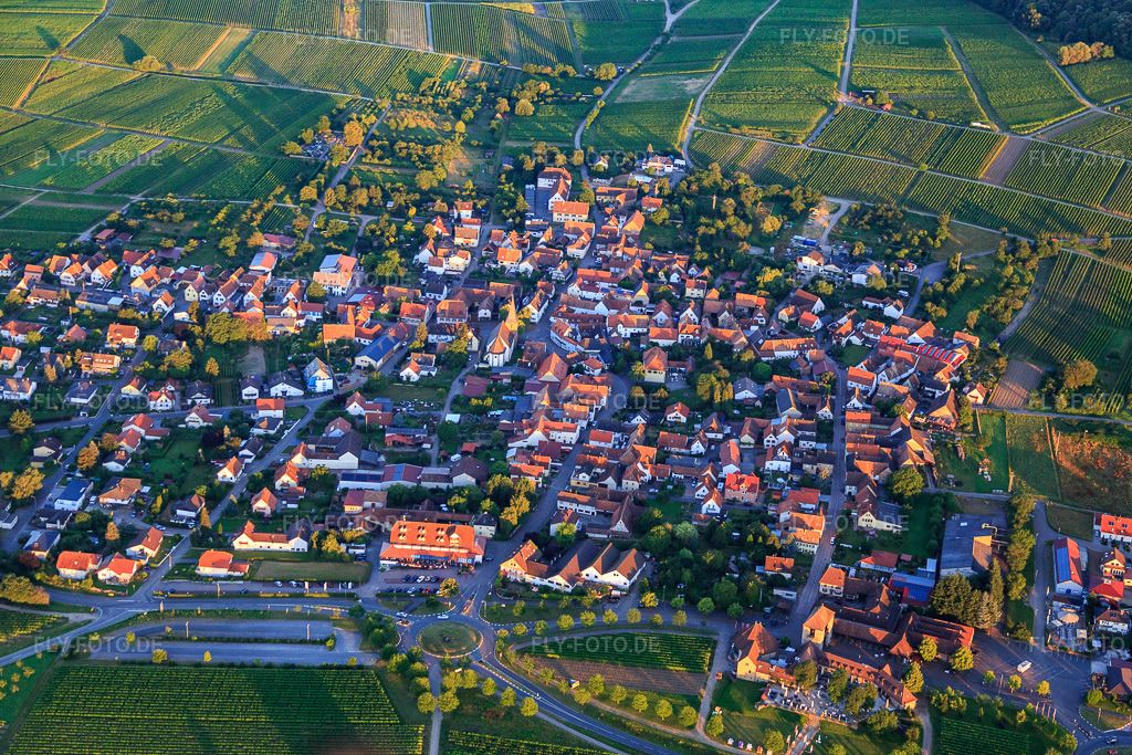 Luftbild: Dorfansicht am Morgen aus Osten im Ortsteil Schweigen in Schweigen-Rechtenbach im Bundesland Rheinland-Pfalz in Deutschland. Foto: IMG_091526.jpg vom 10.07.2016 durch Werner Riehm/FLY-FOTO.de
