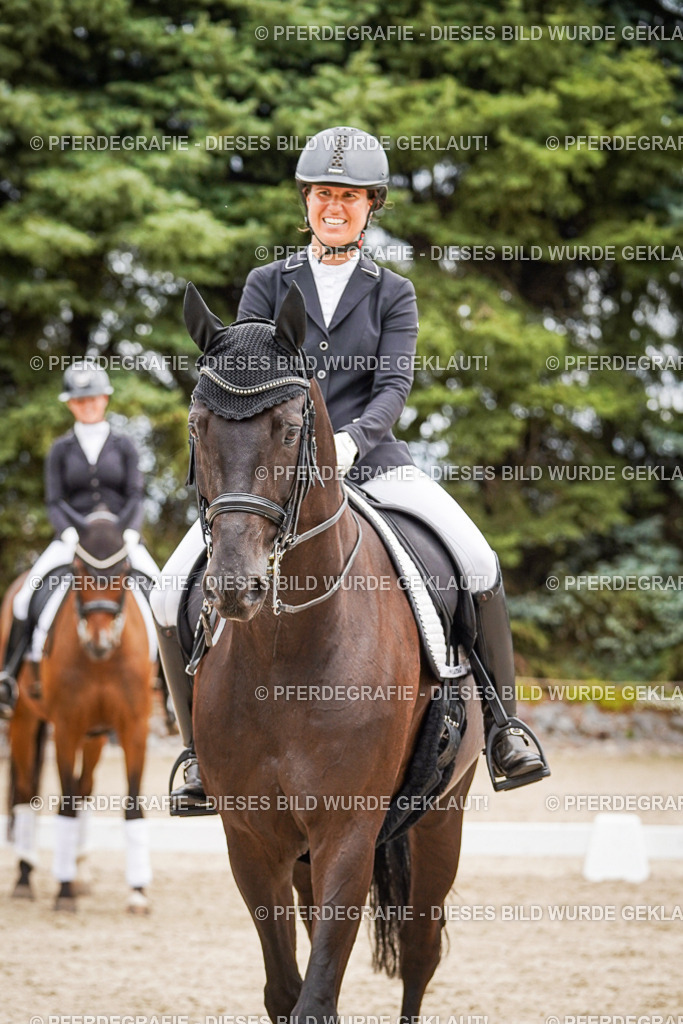 DSC04751 | Pferdegrafie