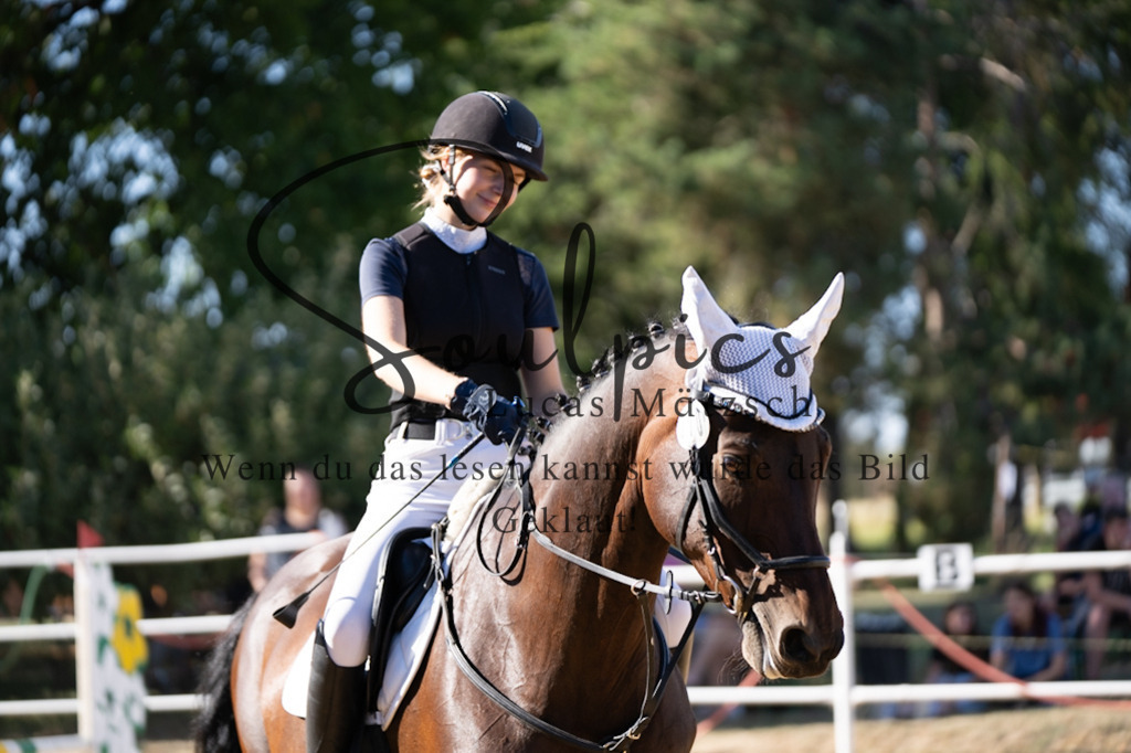 A7V02566 | Pferdefotograf