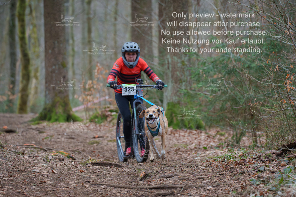 Scooter_So-52 | stephaniefillaphotographie - Realisiert mit Pictrs.com