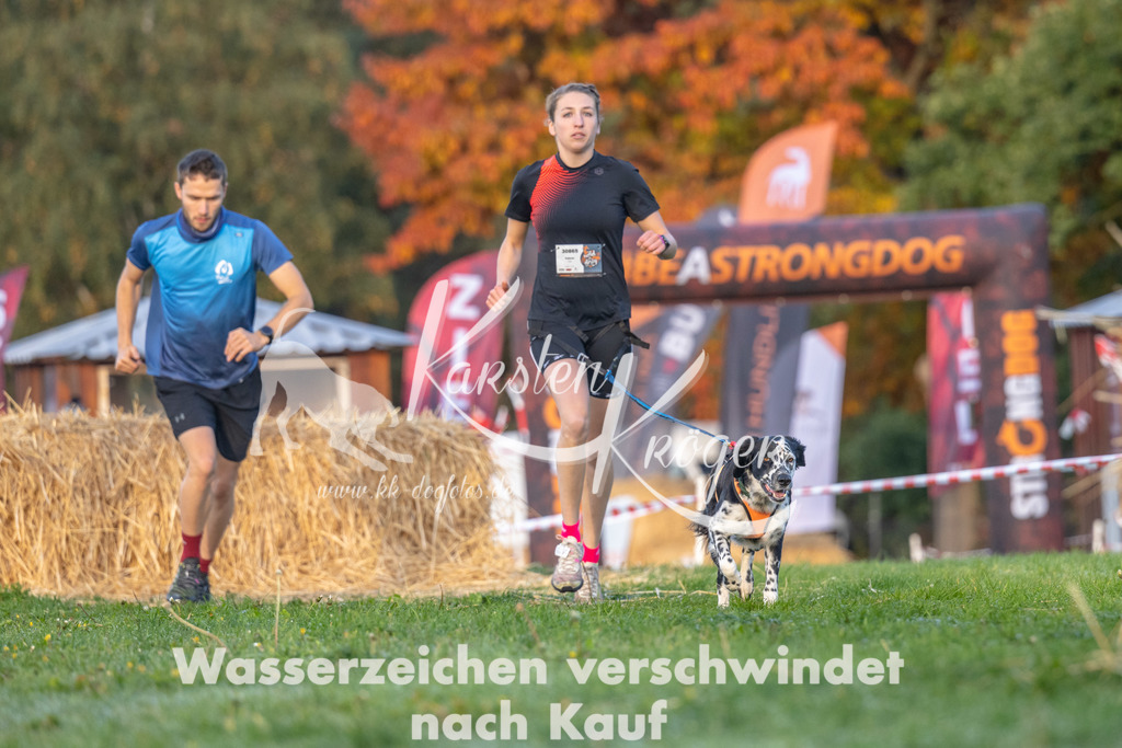 0900_ZZ92103 | kk-dogfotos