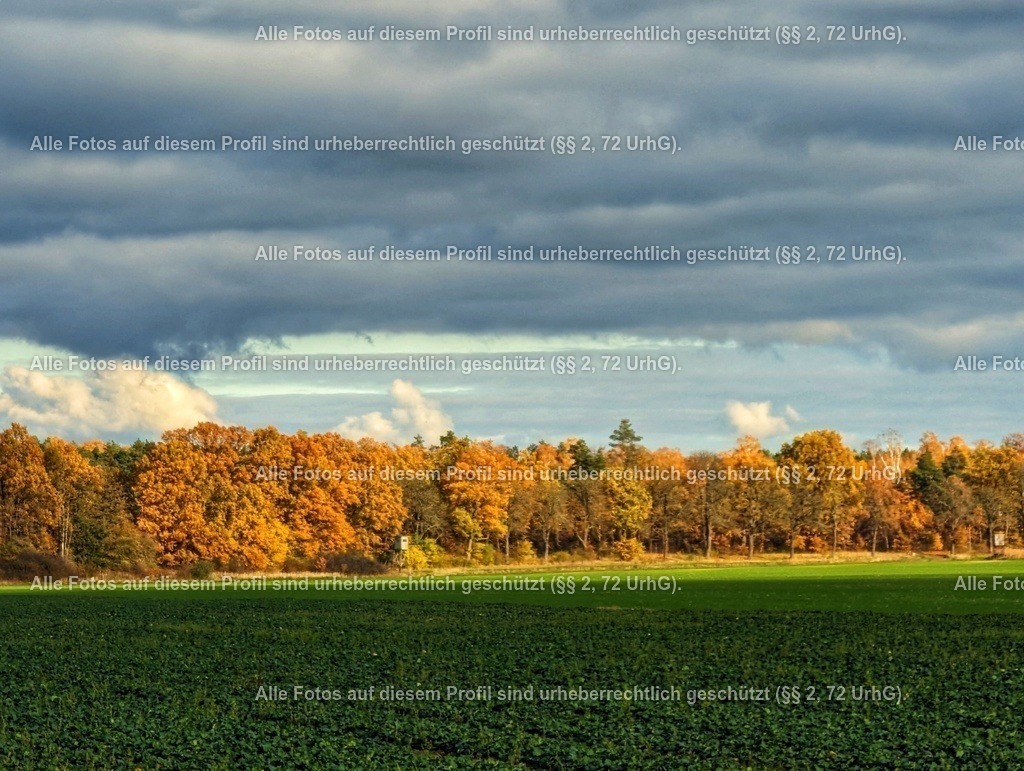 PXL_20231118_114248496-01 | krollfotografie - Realisiert mit Pictrs.com